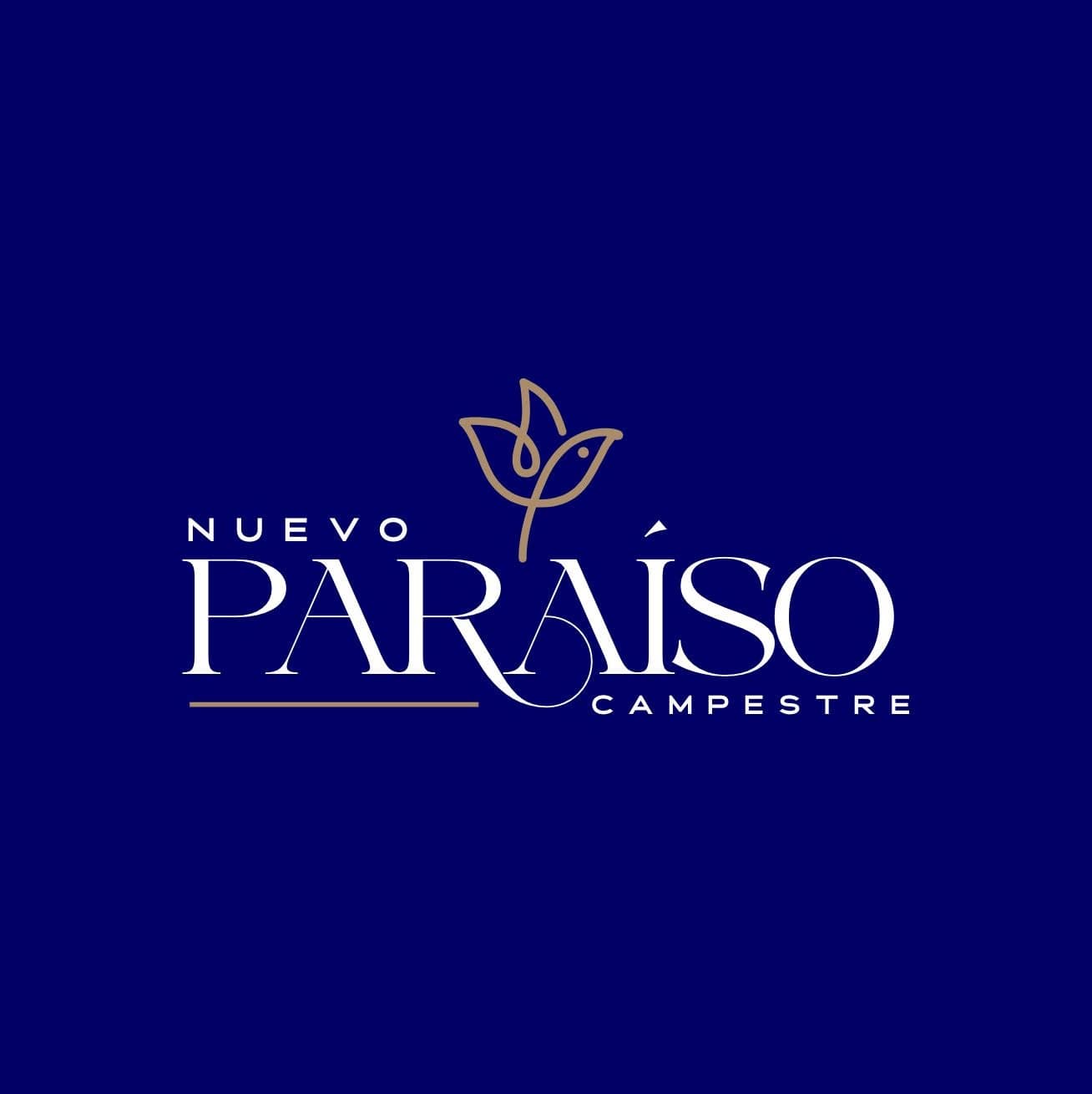 Logo — Nuevo Paraíso · Sección San Blas